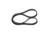 Timing Belt -