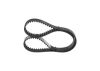 Timing Belt -