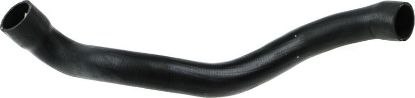 Radiator Hose -
