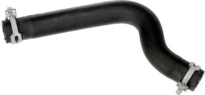 Radiator Hose -