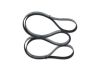 V-Ribbed Belt -