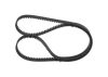 Timing Belt -