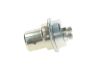 Pressure Tank fuel supply 4 400 653