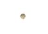 Oil Pressure Switch -