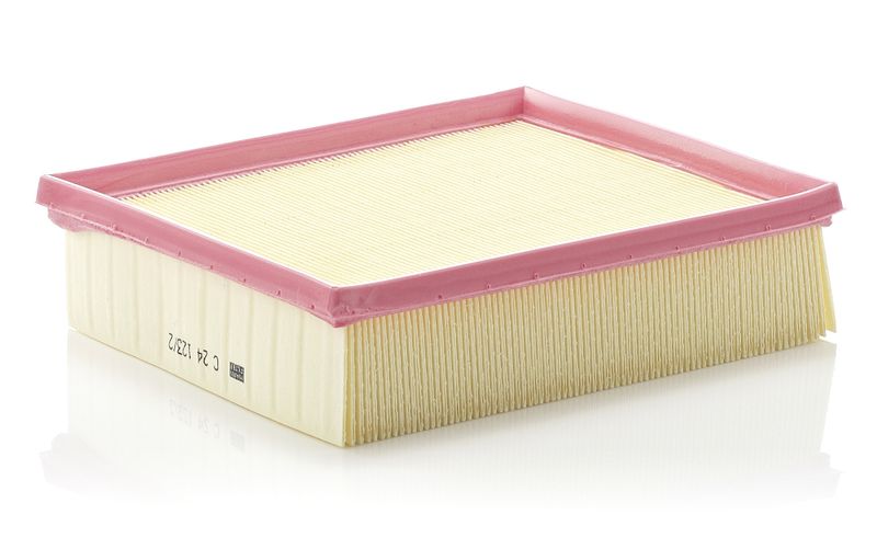 Air Filter Renault LagunaIII 3.0DCi 08-