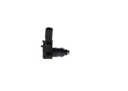 Unit Injector (UI) -