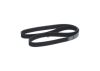 V-Ribbed Belt -