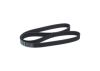 V-Ribbed Belt -