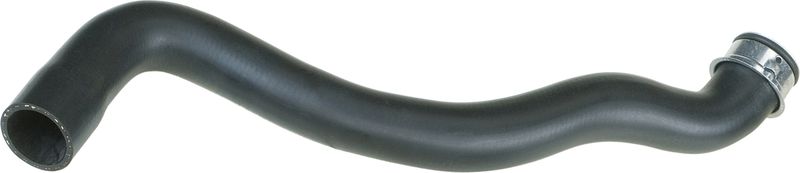 Radiator Hose -