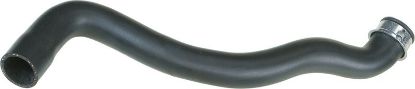 Radiator Hose -