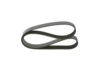 V-Ribbed Belt -
