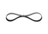 V-Ribbed Belt -
