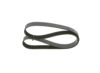 V-Ribbed Belt -