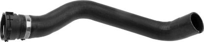 Radiator Hose -