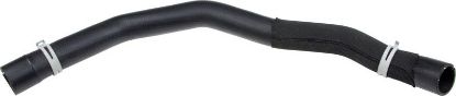 Radiator Hose -
