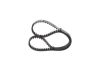 Timing Belt -