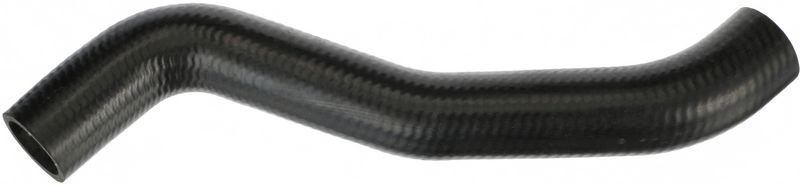 Radiator Hose -