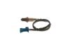 Oxygen Sensor -