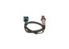 Oxygen Sensor -