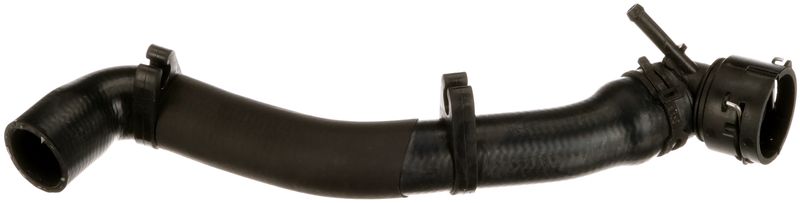 Radiator Hose -