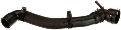 Radiator Hose -