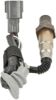 Oxygen Sensor -
