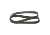 V-Ribbed Belt -