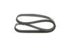 V-Ribbed Belt -