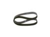 V-Ribbed Belt -