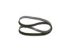 V-Ribbed Belt -