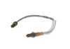Oxygen Sensor -