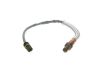 Oxygen Sensor -