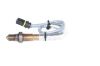 Oxygen Sensor -