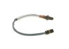 Oxygen Sensor -