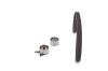 Timing Belt Kit -