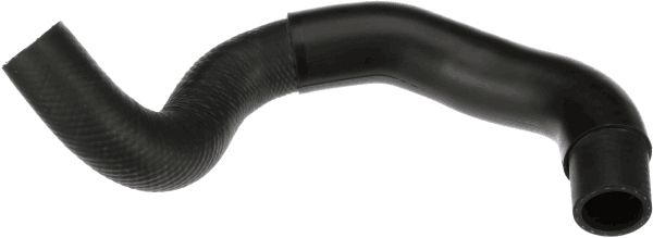 Radiator Hose -