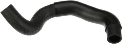 Radiator Hose -