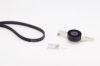 V-Ribbed Belt Set RENAULT - 11 72 017 73R