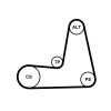 V-Ribbed Belt Set RENAULT - 11 72 017 73R