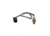 Oxygen Sensor -