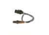 Oxygen Sensor -
