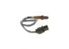 Oxygen Sensor -