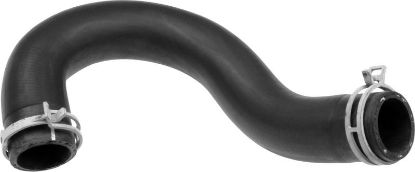 Radiator Hose -