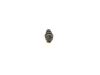 Nozzle and Holder Assembly -