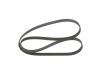 V-Ribbed Belt -