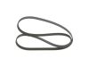 V-Ribbed Belt -