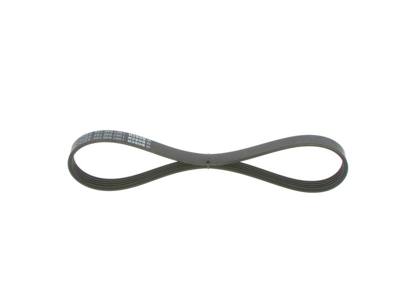 V-Ribbed Belt - V-Ribbed Belt -