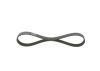 V-Ribbed Belt -