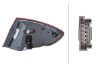 Tail Light Assembly -