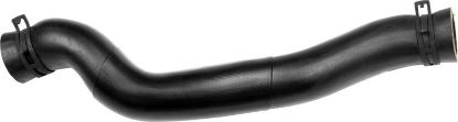 Radiator Hose -
